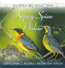 Kojący Śpiew Ptaków Muzyka Relaksacyjna CD HIT 8447769868 - Allegro.pl